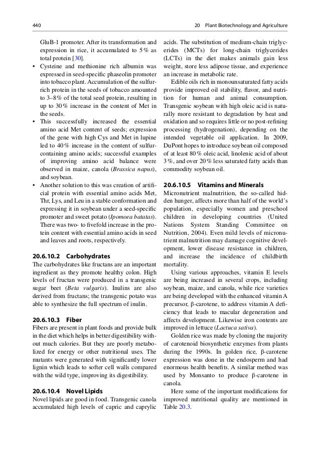 Large-scale approaches